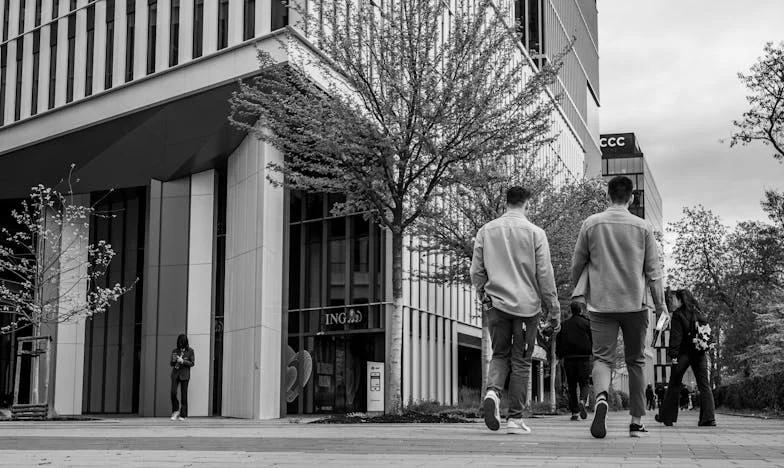 Testamentul care mi-a frânt inima: Povestea unei trădări neașteptate