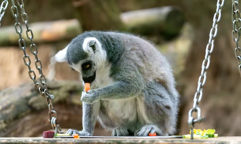 Umbra unei alegeri: Povestea mea între datorie și familie