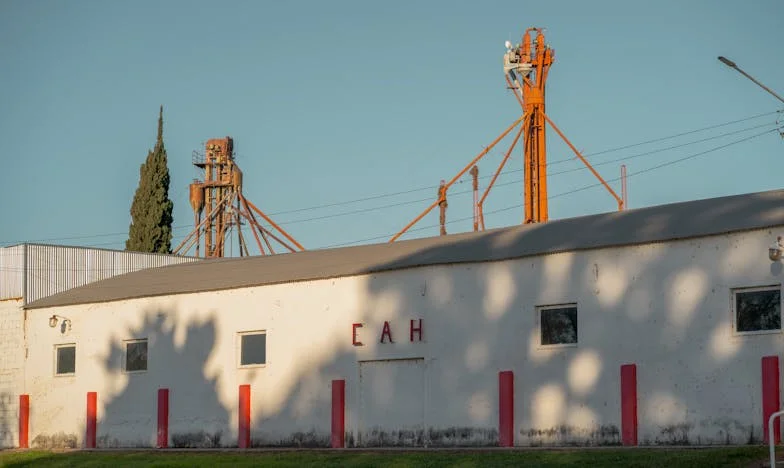 Adevărul despre plecarea tatălui meu: vina ascunsă a mamei