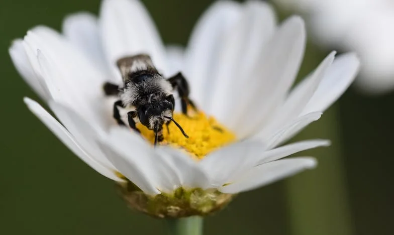 Fiica noastră nu mai e a noastră: Povestea unei mame care își pierde copilul în fața unei iubiri toxice