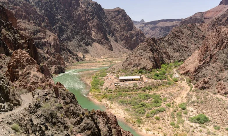 Împărțind același acoperiș cu fratele meu: între datorie și libertate