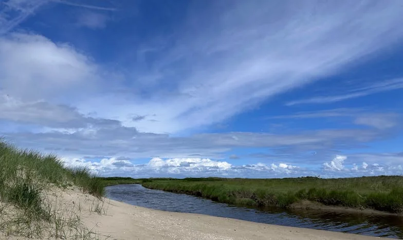 Incidentul care m-a învățat să spun „Nu”: Cum am pierdut liniștea pe care o visam la malul mării