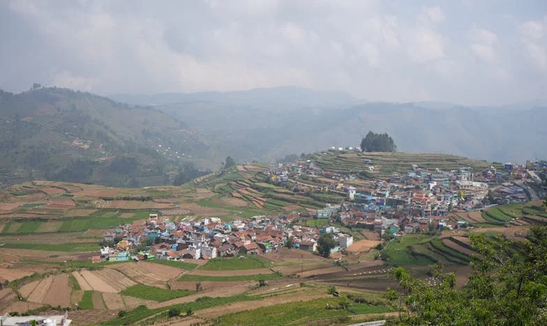 Între datorie și trădare: Povestea unei familii dezbinate