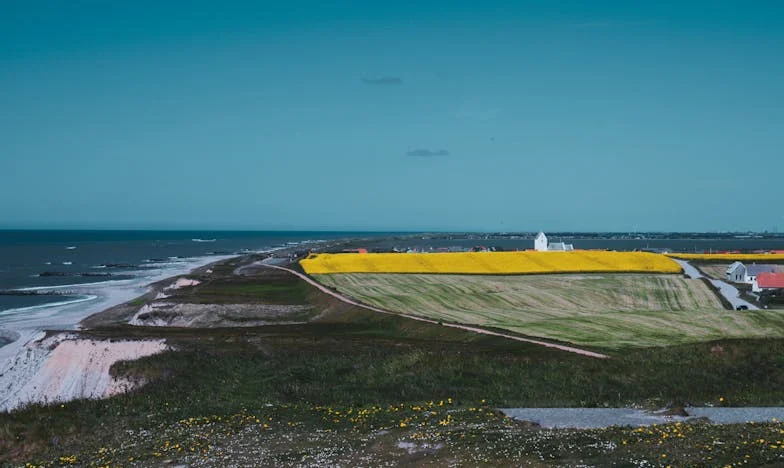 Între două lumi: când copiii nu mai vor la bunici