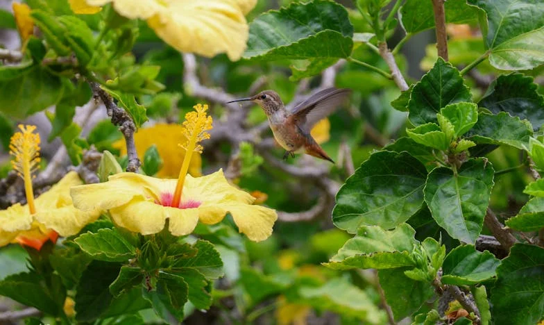 La 58 de ani, iubirea nu are vârstă: Povestea mea între scepticismul fiicei și curajul de a iubi din nou