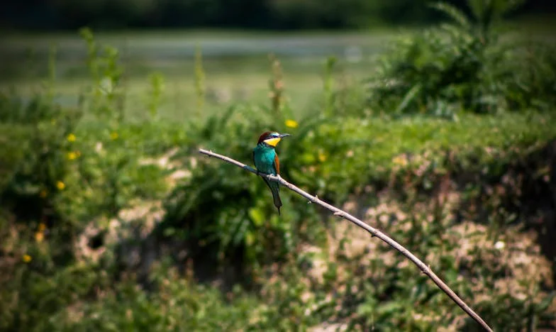 Mâncarea mea, regulile mamei mele: O poveste despre limite, familie și nevoia de a fi ascultat