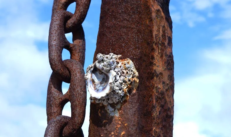 O lecție amară: „Fratele meu a adus acasă o logodnică ciudată ca să-i dea o lecție mamei”