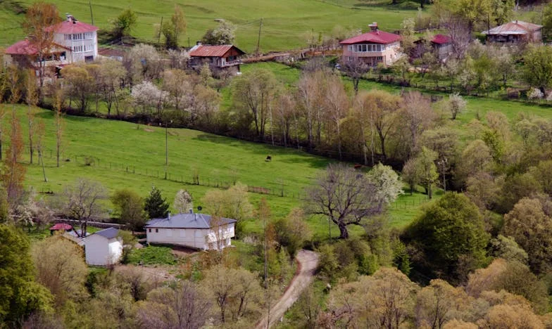 Scrisoarea de la etajul trei