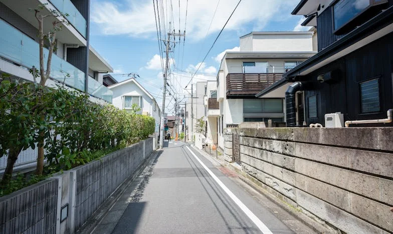 Testamentul lui David: Trădare sau Neînțelegere?