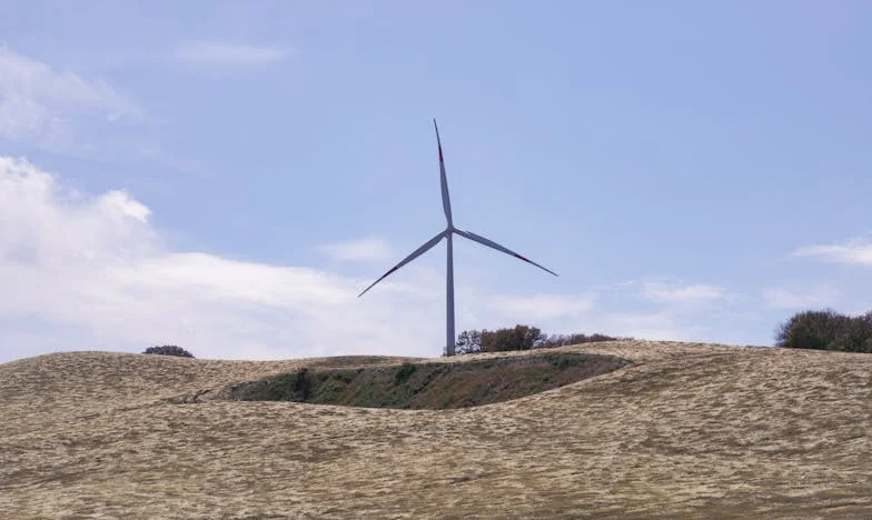 Trădarea care nu se uită: Povestea mea între iertare și demnitate