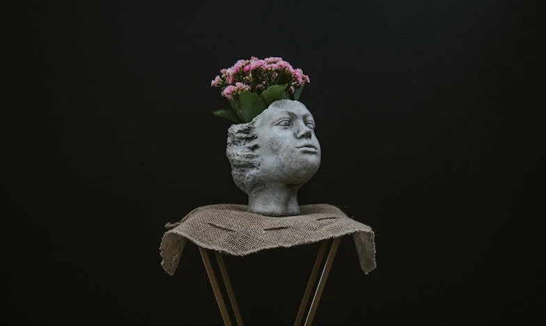 Umbra tăcerii: Povestea lui Radu și a fiului său, Vlad