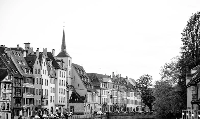 Umbra Tatălui: Povestea lui Radu și Lupta cu Moștenirea