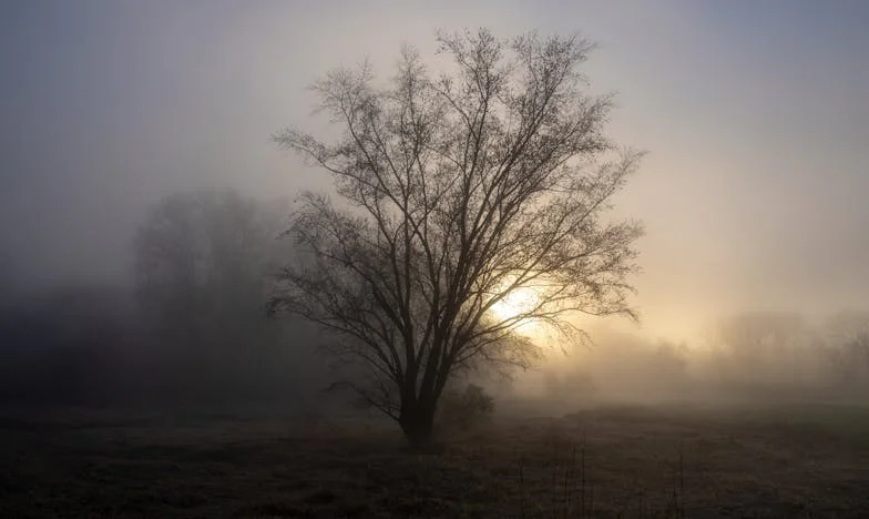 Umbrele Trecutului: Povestea unei iertări imposibile