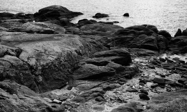 Vara în care am învățat să iert