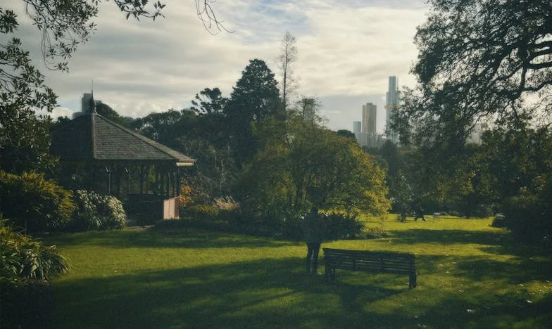 Adevărul care doare: Povestea unei trădări