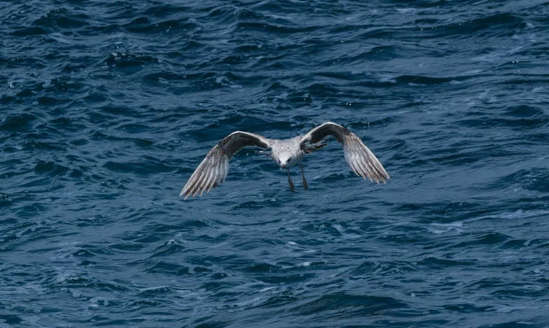 Casa noastră, sufletul nostru: O poveste despre sacrificiu, familie și alegeri dureroase