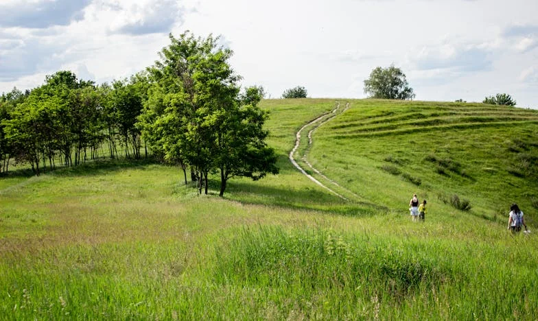 Întoarcerea acasă cu bărbatul pe care îl iubesc: De ce fiul meu nu a putut accepta