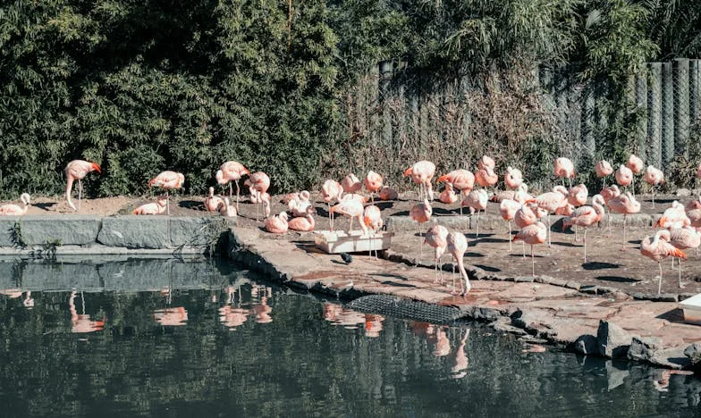 Între două lumi: Povara iubirii și a datoriilor față de părinți