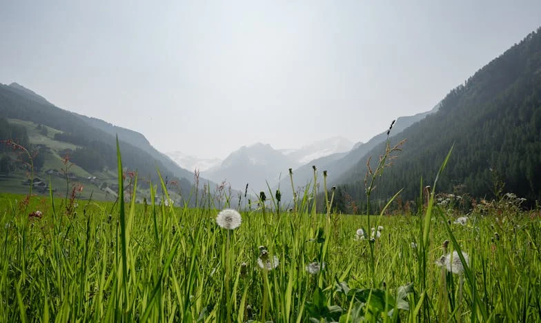 Lanțurile Perfecțiunii: Povestea unei Mame Românce