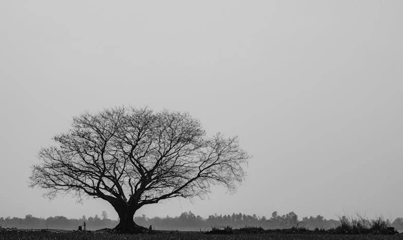 Mai bine să nu-i cunoști: Povestea unei vacanțe de familie ratate