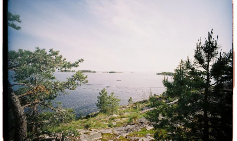 „Mama soacră vrea să se recăsătorească? Nu cât sunt eu aici!” – Povestea unei familii românești în pragul schimbării