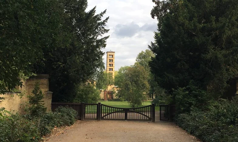 „Mi-au spus mereu mătușă, dar ochii lor erau doar pe adresa mea”