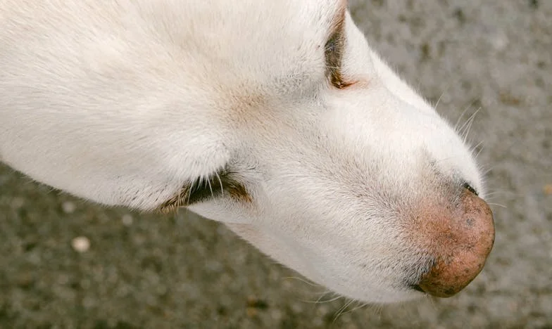 Noaptea în care am dat-o afară pe fiica mea și pe iubitul ei: momentul în care am spus „Destul!”