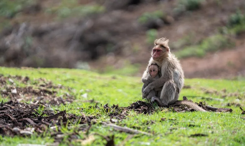 Nu pot să-mi iert fiul pentru că mi-a distrus șansa la fericire: Povara unei mame singure