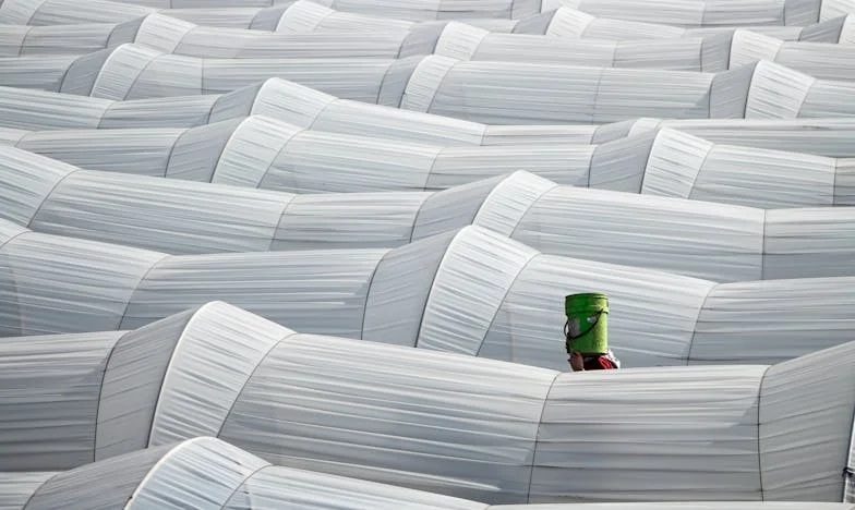 O promisiune frântă: Ruinele viselor și ale familiei mele