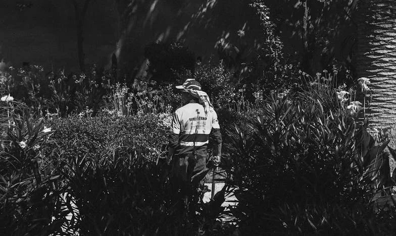 Petrecerea care a schimbat totul