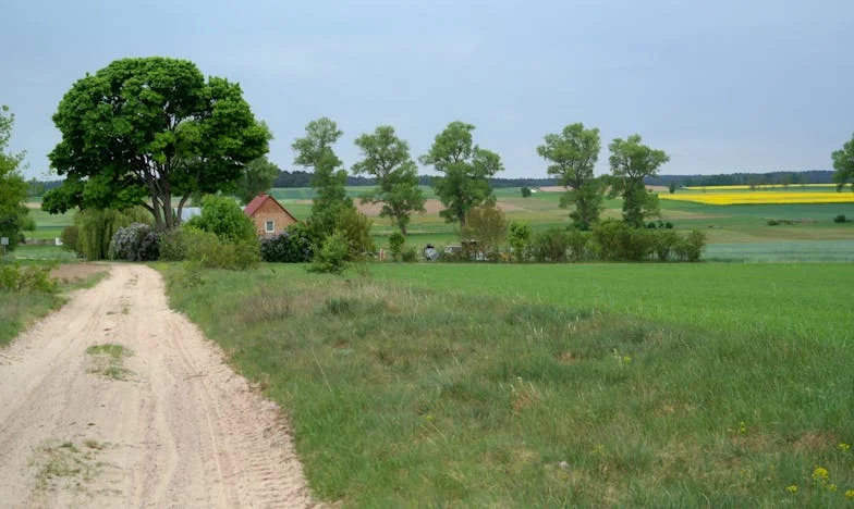 Prizonier în umbra așteptărilor: Povestea mea ca proiect al părinților mei