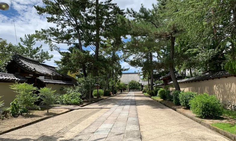 Rochia mea de bal și lacrimile din oglindă