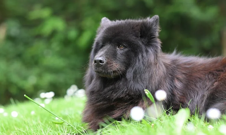 Șoapte dincolo de ușă: Weekendul care a schimbat totul