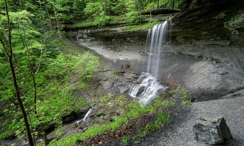 Umbra Trecutului: Povestea Norei și a Moștenirii Neînțelese