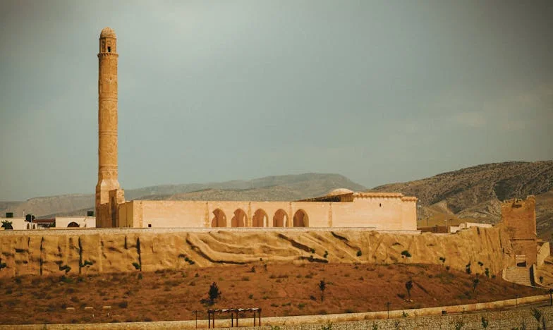 Umbra unui tată absent: Povestea mea și a fiicei mele, Ilinca