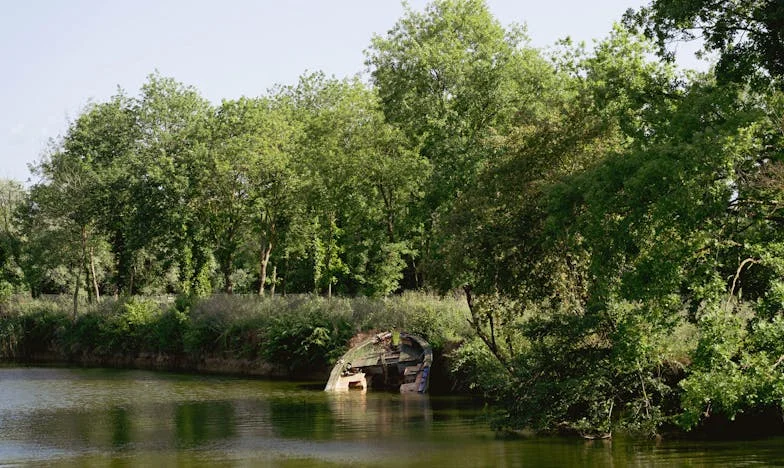 Umbrele unei plecări: Povestea unei mame românce între sacrificiu și trădare