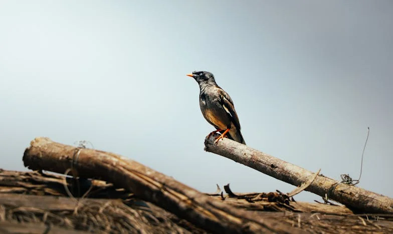 Vacanța care ne-a destrămat: Cum soacra mea a transformat visul în coșmar