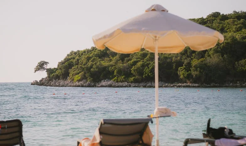 Adevărul din spatele ușilor închise: Mărturia unei profesoare din România