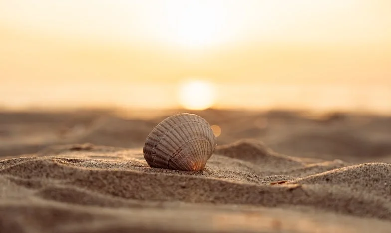 „Am depus actele de divorț după vacanța cu soacra la mare”