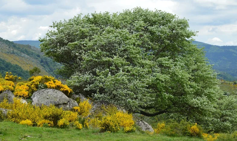 Ani de sacrificiu pentru fratele meu, doar ca să aflu că nu m-a văzut niciodată ca sprijin: Un weekend al adevărurilor crude