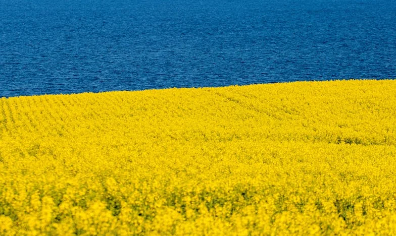 Ani de vecinătate: De la străini la familie