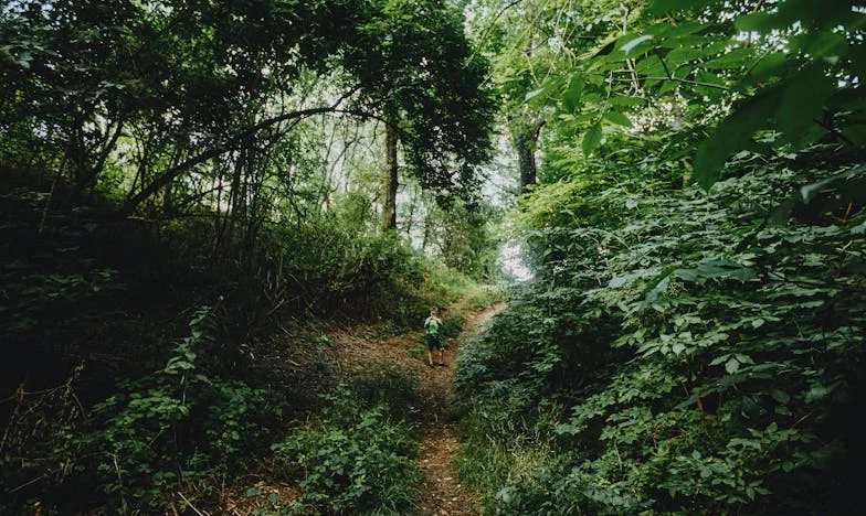 Când Acasă Nu Mai E Acasă: Povestea Unei Împăcări Imposibile