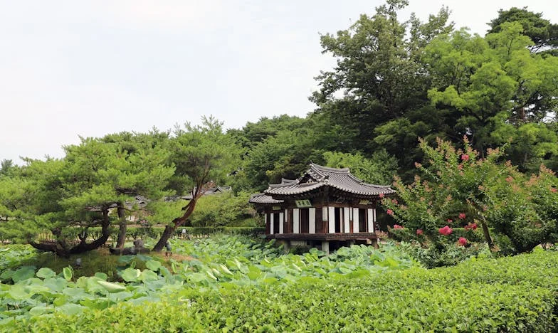 Când am întâlnit-o pe Oana: Criza de la mijlocul vieții