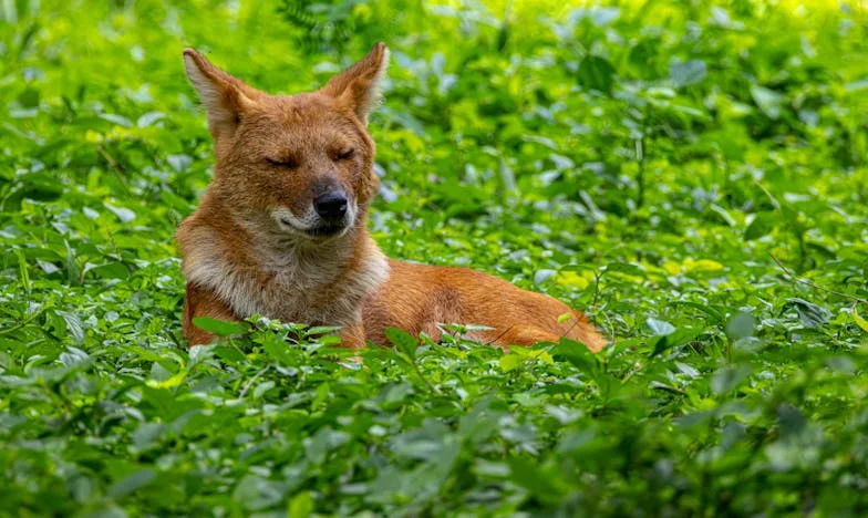 Când familia devine o enigmă: Povestea mea de mamă între speranță și dezamăgire