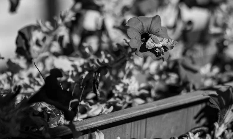 Când mama a devenit antreprenor: Povestea unei familii forțate să se reinventeze