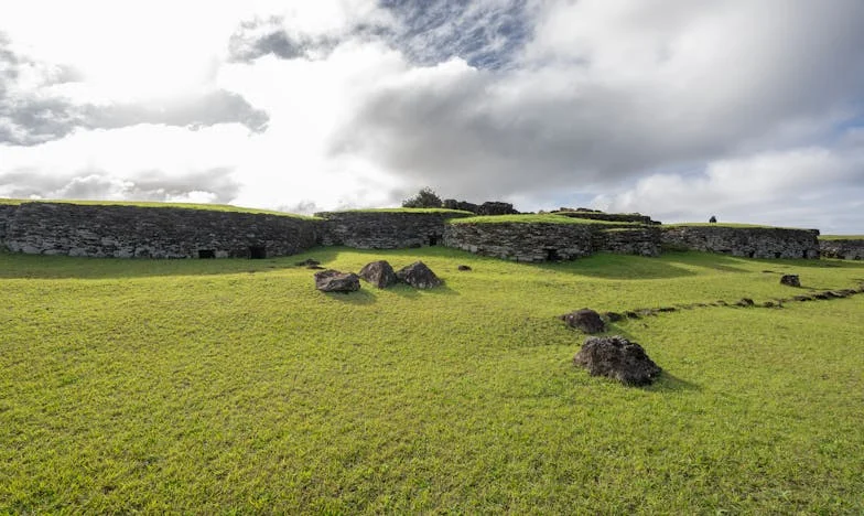 Cererea neașteptată a bunicii: Prețul iubirii sau al sacrificiului?