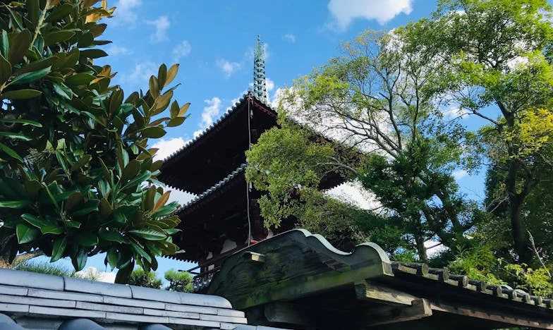 Cheile care deschid răni vechi