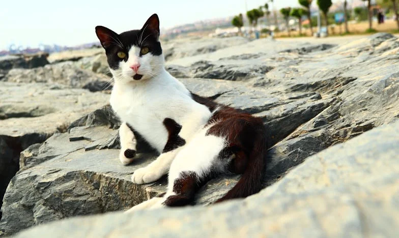 Datoria care ne-a rupt familia: Povestea mea despre bani, iertare și loialitate