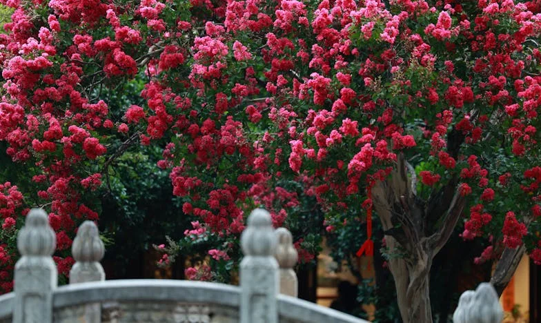 „Eu aduc mai mulți bani, deci nu mai fac nimic altceva.” Povestea unei căsnicii care s-a transformat în contract