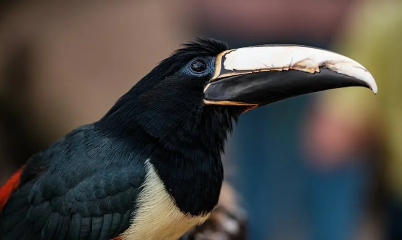 În așteptarea mamei: Povestea Anei